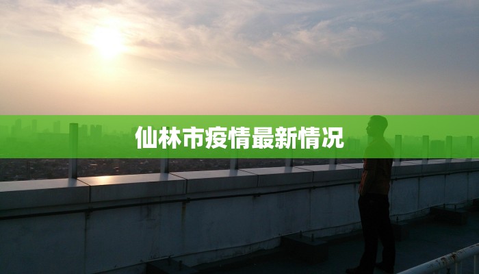 仙林市疫情最新情况