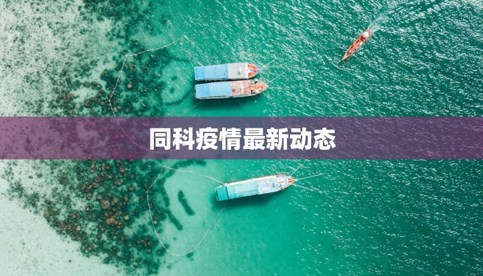 同科疫情最新动态