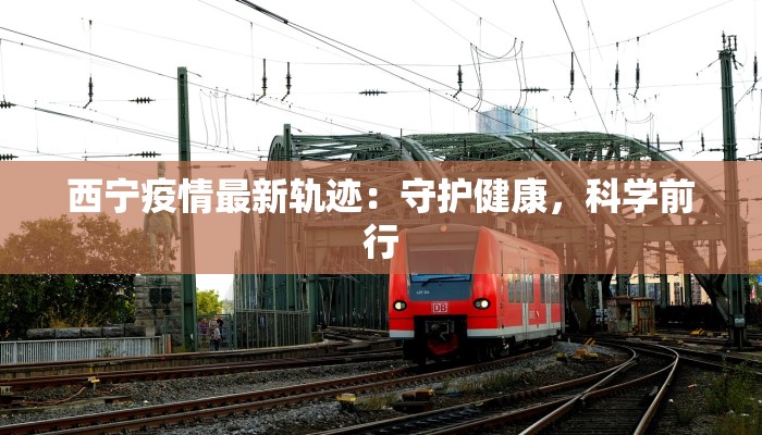 西宁疫情最新轨迹：守护健康，科学前行